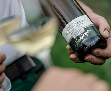 Person die eine Weinflasche von Herzinger hält