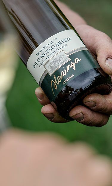 Person that is holding a Wine bottle from Weingut Herzinger | Nußdorf ob der Traisen